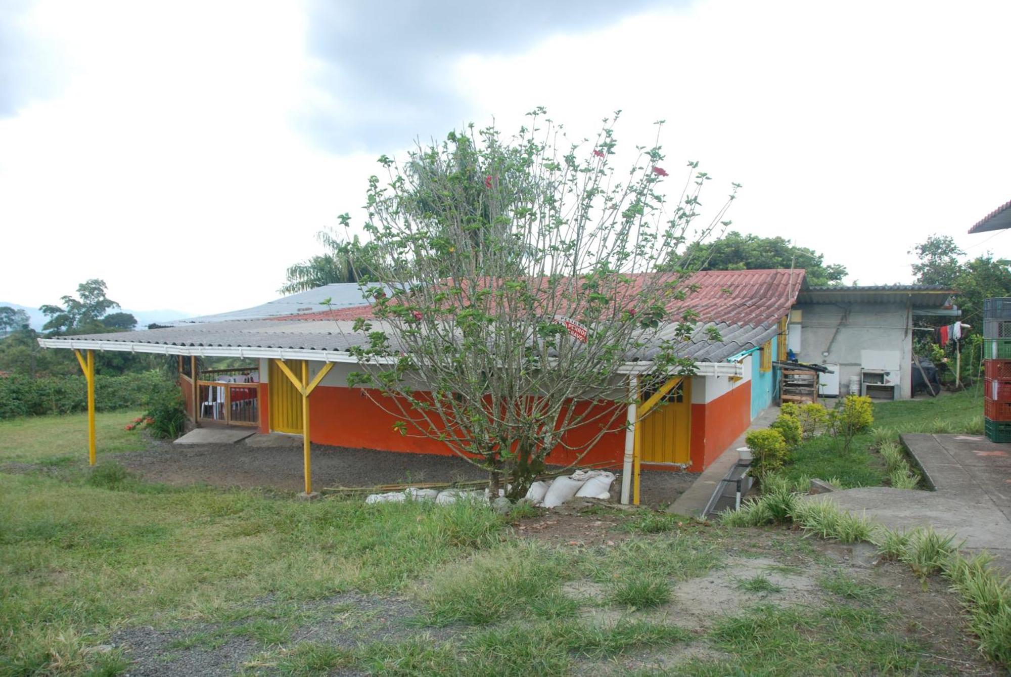 Finca En El Quindio Arrullo Cafetero Quimbaya Zewnętrze zdjęcie